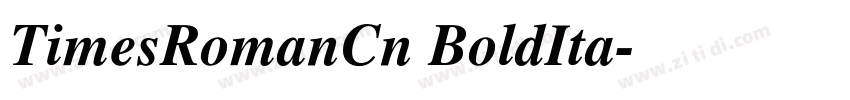 TimesRomanCn BoldIta字体转换
